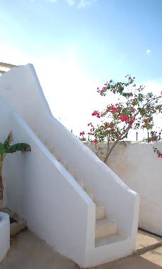 Maison de vacances �/en/au Djerba (Madanin)ou appartement ou maison de vacances