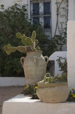 Maison de vacances �/en/au Djerba (Madanin)ou appartement ou maison de vacances