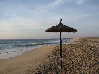 Appartement de vacances �/en/au Santa Maria/Sal  (Sal)ou appartement ou maison de vacances