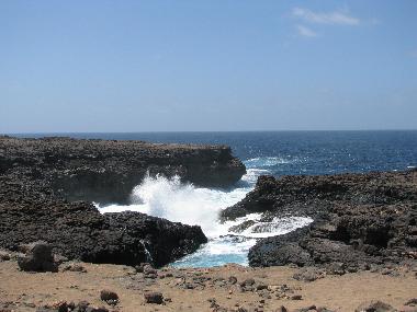 Appartement de vacances �/en/au Santa Maria/Sal  (Sal)ou appartement ou maison de vacances