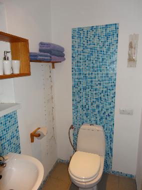 Maison de vacances �/en/au Velykodolyns´ke (Odes
