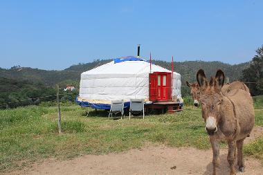 Chambre avec petit djeuner /en/au Odeceixe (Algarve)ou appartement ou maison de vacances