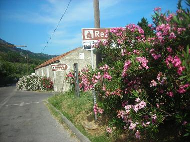 Maison de vacances �/en/au Rezevici-Katun (Mont�n�gro)ou appartement ou maison de vacances