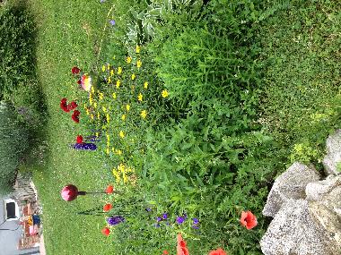 Maison de vacances /en/au 7142 (Nordburgenland)ou appartement ou maison de vacances