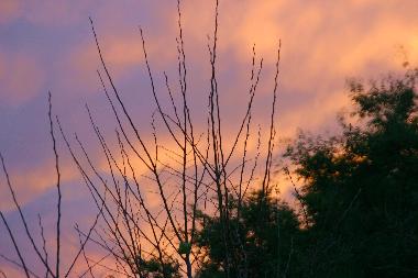 Maison de vacances /en/au 7142 (Nordburgenland)ou appartement ou maison de vacances