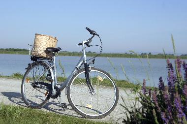 Maison de vacances /en/au 7142 (Nordburgenland)ou appartement ou maison de vacances