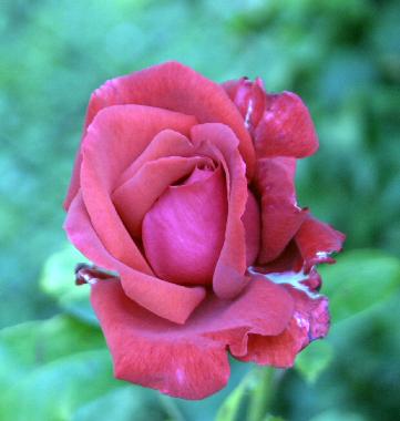 Maison de vacances /en/au 7142 (Nordburgenland)ou appartement ou maison de vacances