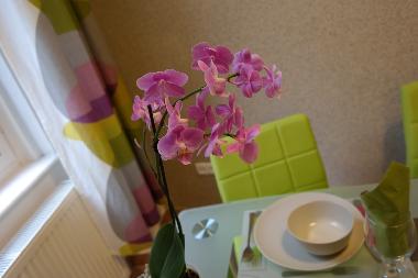 Appartement de vacances �/en/au Budapest (Budapest)ou appartement ou maison de vacances