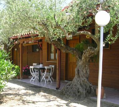 Appartement de vacances �/en/au Gythio (Lakonia)ou appartement ou maison de vacances