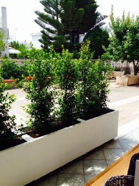 Appartement de vacances /en/au Lecce, San Cataldo (Lecce)ou appartement ou maison de vacances