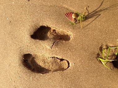 Appartement de vacances /en/au Cababas de tavira (Algarve)ou appartement ou maison de vacances