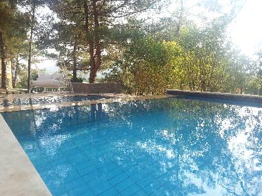 Villa /en/au Kizilagac (Mugla)ou appartement ou maison de vacances