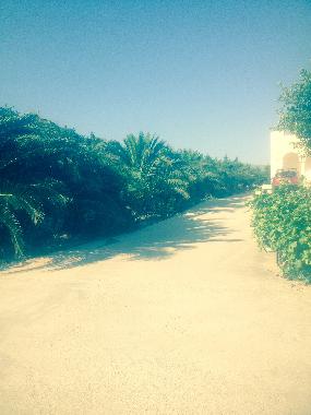 Villa �/en/au PAROS (Kyklades)ou appartement ou maison de vacances