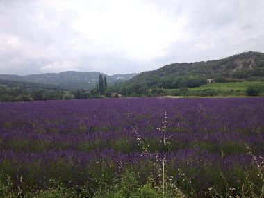 Maison de vacances /en/au Gras (Ardche)ou appartement ou maison de vacances