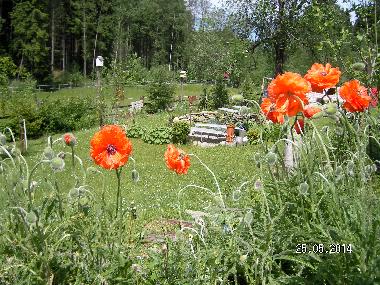 Appartement de vacances �/en/au Wei�enstadt (Oberfranken)ou appartement ou maison de vacances