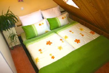 Appartement de vacances /en/au Crottendorf (Erzgebirge)ou appartement ou maison de vacances