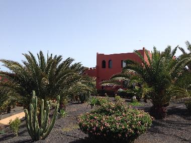 Appartement de vacances /en/au Corralejo (Fuerteventura)ou appartement ou maison de vacances
