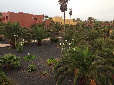 Appartement de vacances /en/au Corralejo (Fuerteventura)ou appartement ou maison de vacances