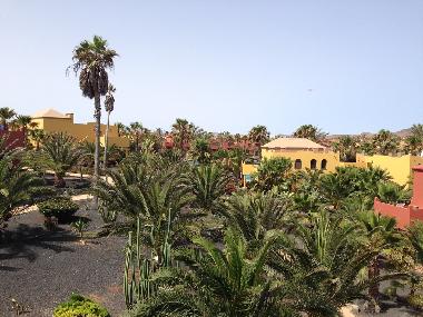 Appartement de vacances /en/au Corralejo (Fuerteventura)ou appartement ou maison de vacances