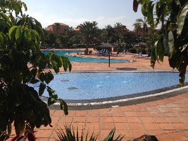 Appartement de vacances /en/au Corralejo (Fuerteventura)ou appartement ou maison de vacances