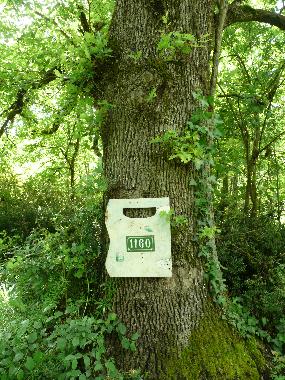 Maison de vacances /en/au Ngrepelisse (Tarn-et-Garonne)ou appartement ou maison de vacances