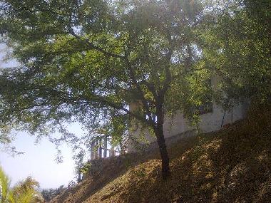 Maison de vacances �/en/au 10000 (Piura)ou appartement ou maison de vacances