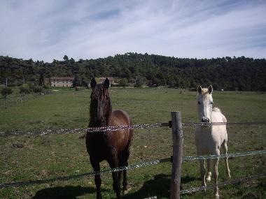 Appartement de vacances �/en/au aups (Var)ou appartement ou maison de vacances