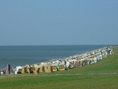 Appartement de vacances /en/au Bsum (Nordsee-Festland)ou appartement ou maison de vacances