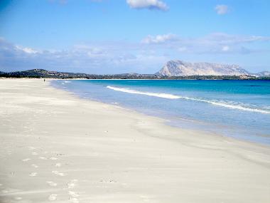 Maison de vacances /en/au San Teodoro (Olbia-Tempio)ou appartement ou maison de vacances