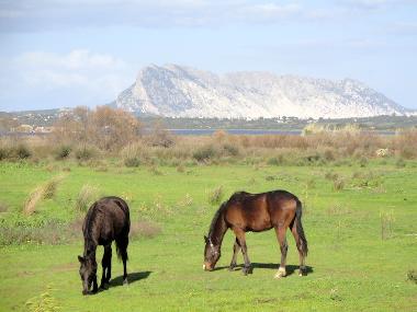 Maison de vacances /en/au San Teodoro (Olbia-Tempio)ou appartement ou maison de vacances