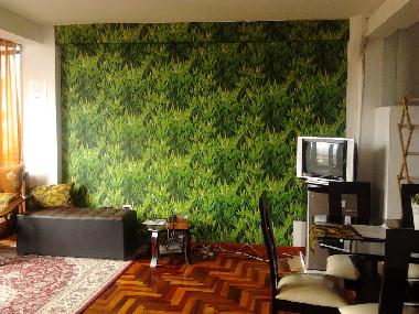 Appartement de vacances �/en/au 00000 (Cusco)ou appartement ou maison de vacances