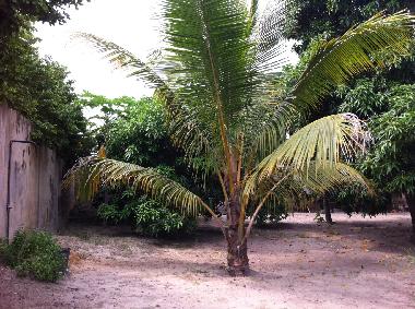 Villa �/en/au lom� (Lome)ou appartement ou maison de vacances