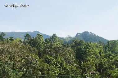 Maison de vacances /en/au Elkaduwa (Matale)ou appartement ou maison de vacances