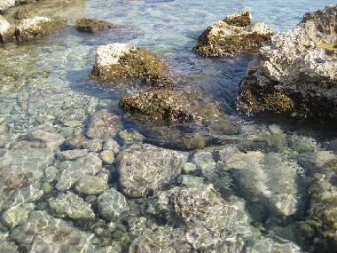 Maison de vacances �/en/au Alliste (Lecce)ou appartement ou maison de vacances