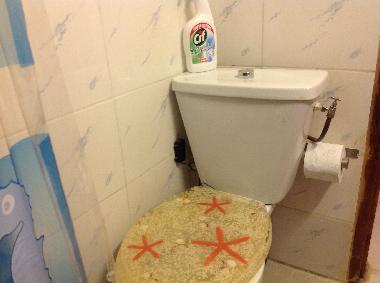 TOILETTE DE LA SALLE D