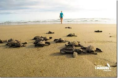 Appartement de vacances �/en/au Bejuco (Guanacaste)ou appartement ou maison de vacances