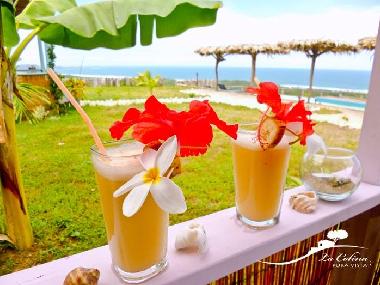 Appartement de vacances �/en/au Bejuco (Guanacaste)ou appartement ou maison de vacances