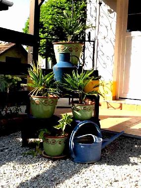 Chambre avec petit d�jeuner �/en/au Pet�fisz�ll�s (Bacs-Kiskun)ou appartement ou maison de vacances