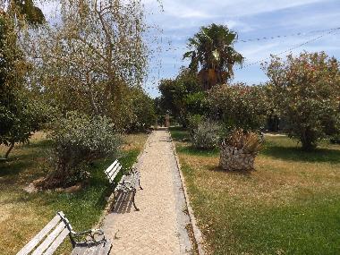 Appartement de vacances /en/au St. Barabara de nexe / Bela Salema (Algarve)ou appartement ou maison de vacances