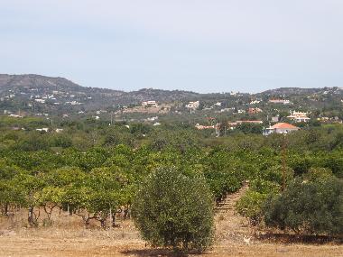 Appartement de vacances /en/au St. Barabara de nexe / Bela Salema (Algarve)ou appartement ou maison de vacances