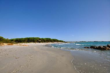 Appartement de vacances �/en/au Cala Liberotto (Nuoro)ou appartement ou maison de vacances