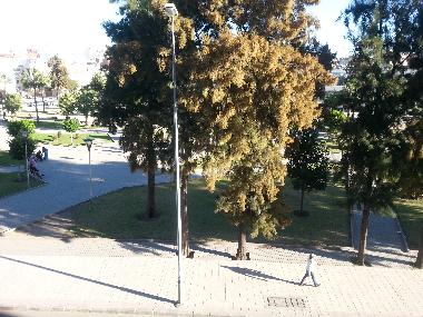 Appartement de vacances �/en/au tanger (Tanger)ou appartement ou maison de vacances