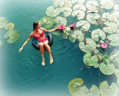 Appartement de vacances �/en/au Heviz (Heves)ou appartement ou maison de vacances