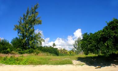 Maison de vacances /en/au Grand Gaube (Riviere du Rempart)ou appartement ou maison de vacances
