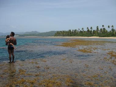 Chambre avec petit d�jeuner �/en/au el limon (Samana)ou appartement ou maison de vacances