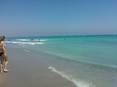 Appartement de vacances /en/au Quartu Sant Elena (Cagliari)ou appartement ou maison de vacances