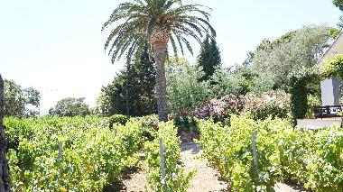 Villa �/en/au grimaud (Var)ou appartement ou maison de vacances