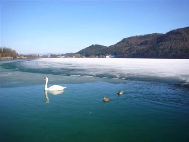 Appartement de vacances /en/au St.Kanzian (Unterkrnten)ou appartement ou maison de vacances