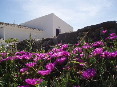 Appartement de vacances /en/au Comares (Mlaga)ou appartement ou maison de vacances