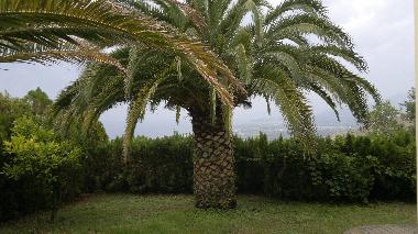 Appartement de vacances /en/au Maier (Cosenza)ou appartement ou maison de vacances